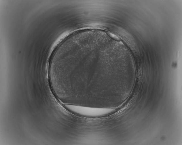 X0000097301180200803141526