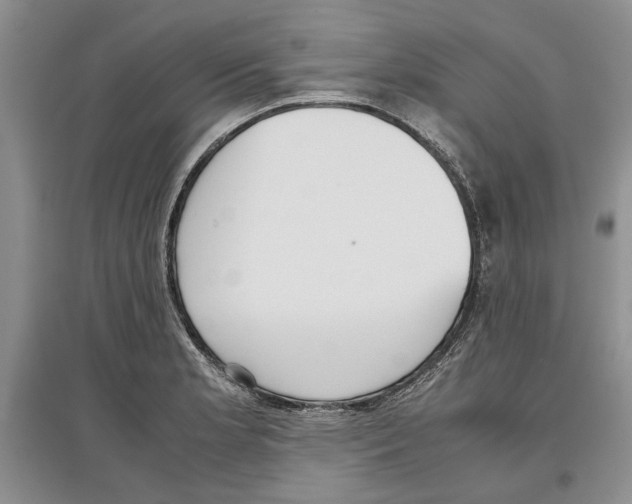 X0000097301181200803141526