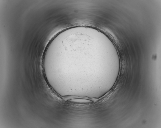 X0000097301182200803141525