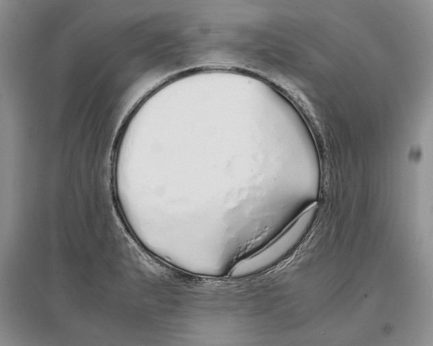 X0000097301183200803141525