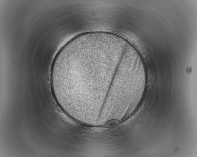 X0000097301184200803141525