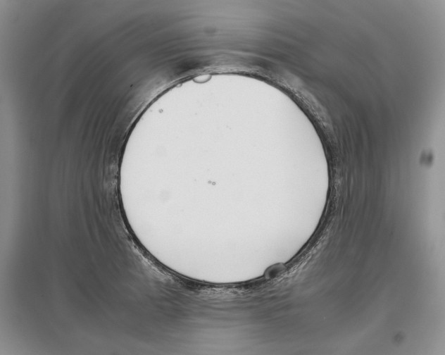 X0000097301185200803141525