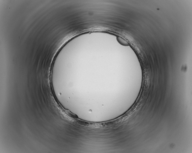 X0000097301186200803141525