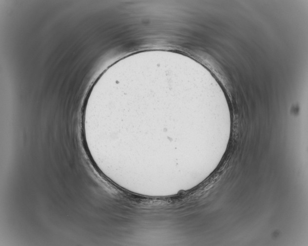 X0000097301187200803141525