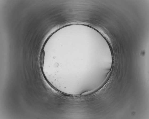 X0000097301189200803141525