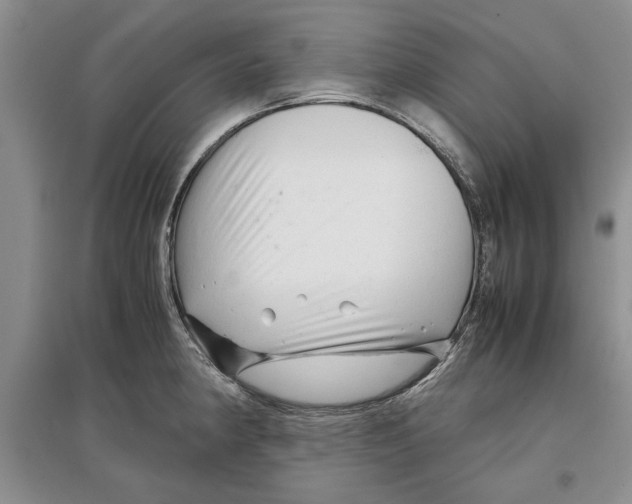 X0000097301190200803141525