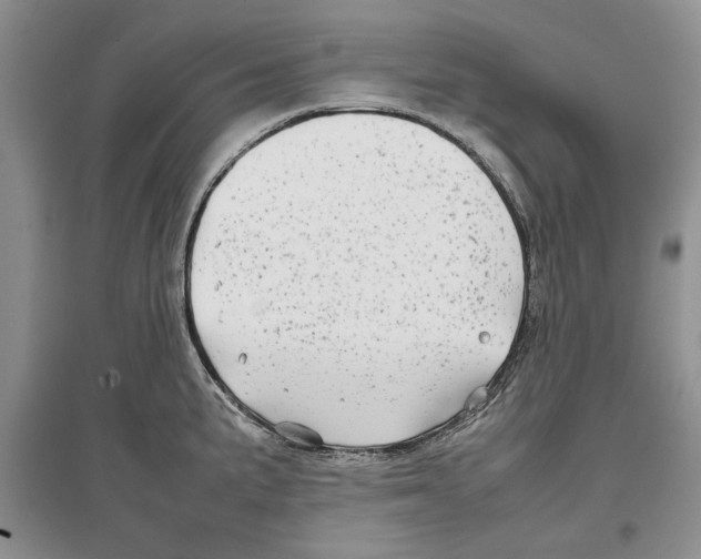 X0000097301191200803141525