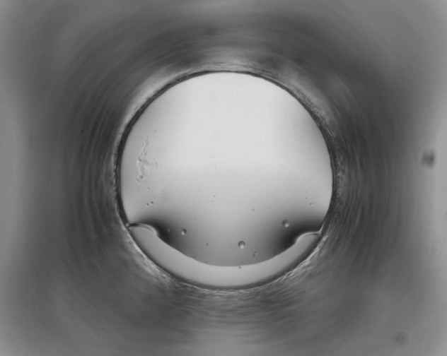 X0000097301192200803141525