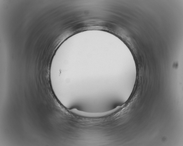 X0000097301193200803141525