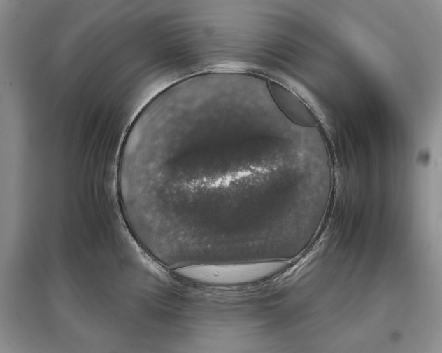 X0000097301194200803141525