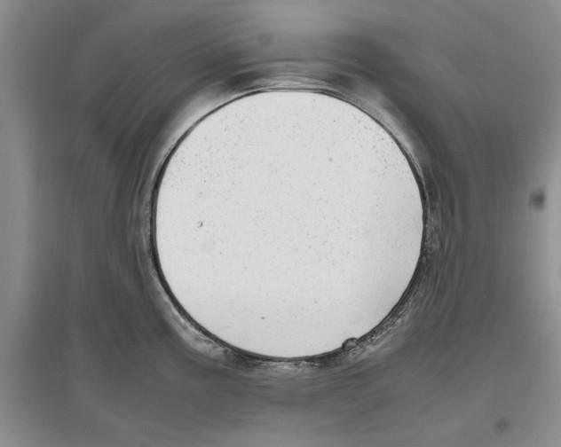 X0000097301195200803141525