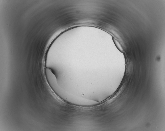X0000097301196200803141525
