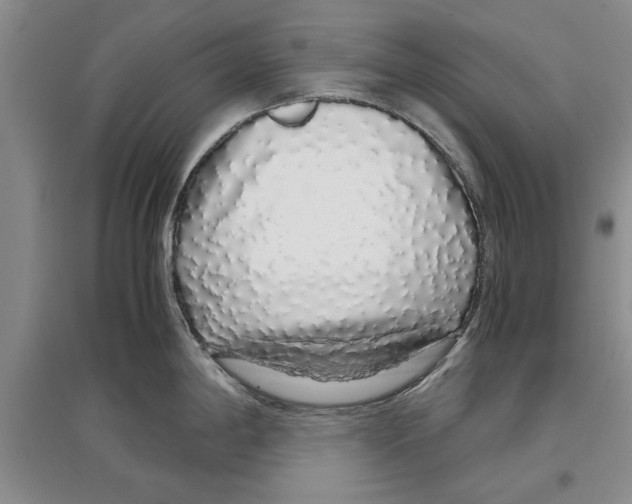 X0000097301198200803141525