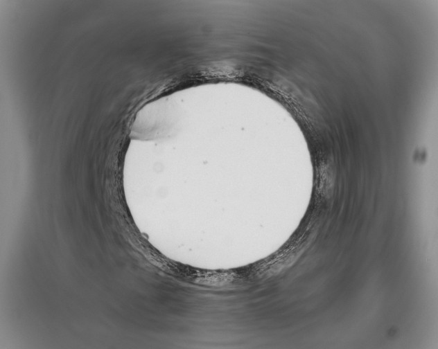 X0000097301201200803141525