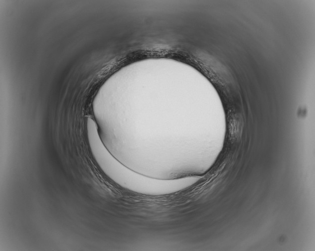 X0000097301204200803141525
