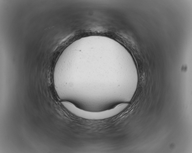 X0000097301205200803141525