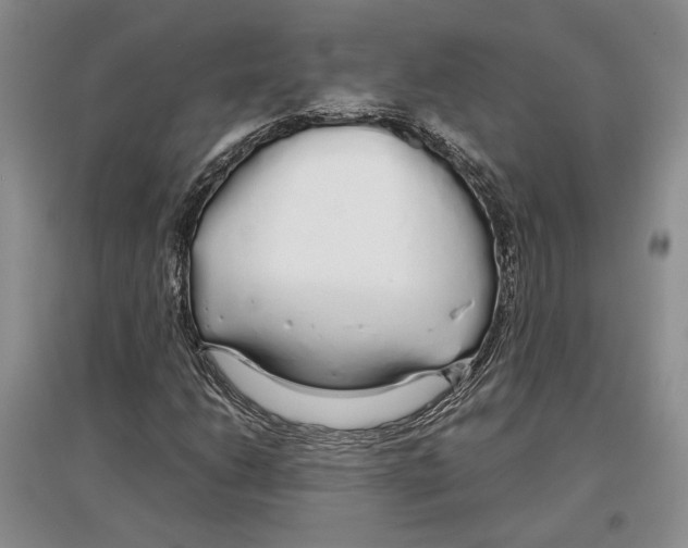 X0000097301206200803141525
