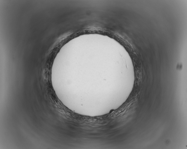 X0000097301207200803141525