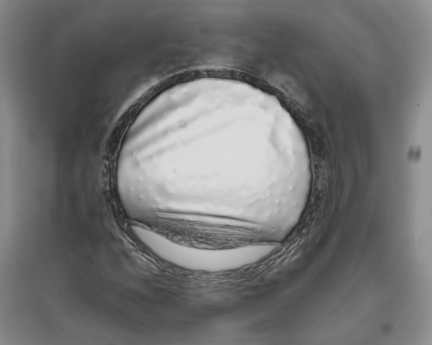 X0000097301208200803141525