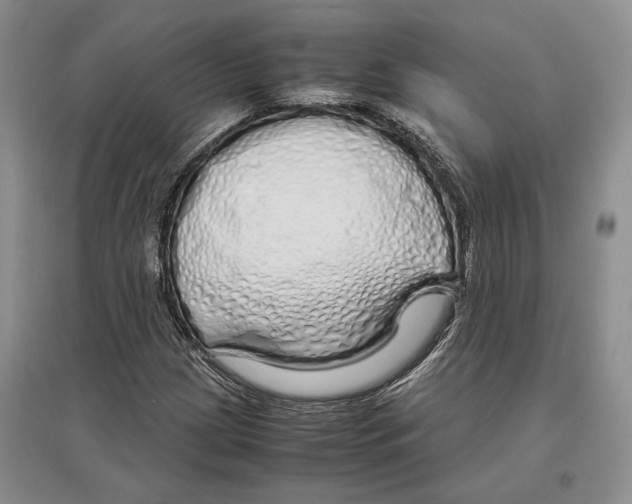 X0000097301209200803141525