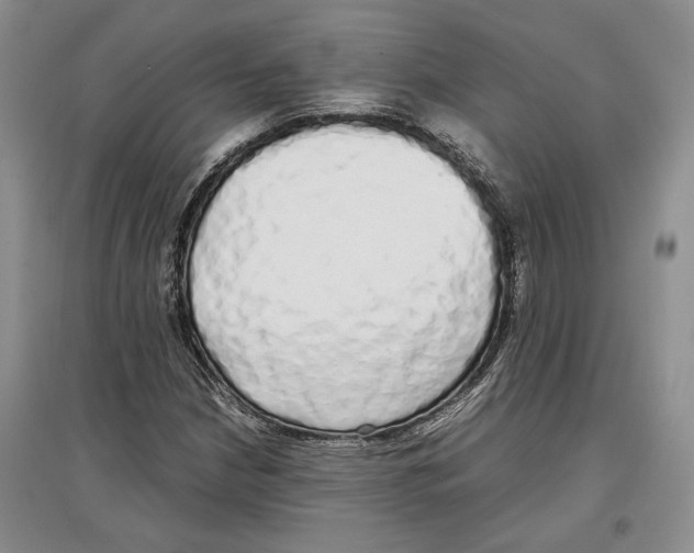 X0000097301210200803141525