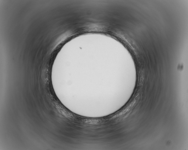 X0000097301211200803141525