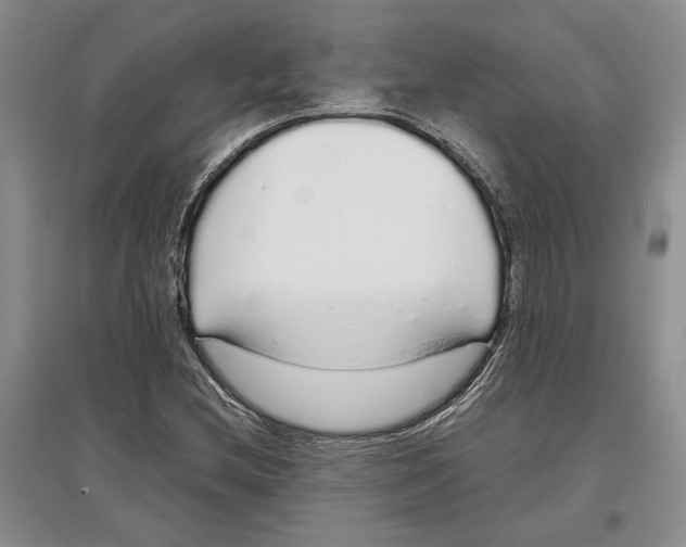 X0000097301212200803141525