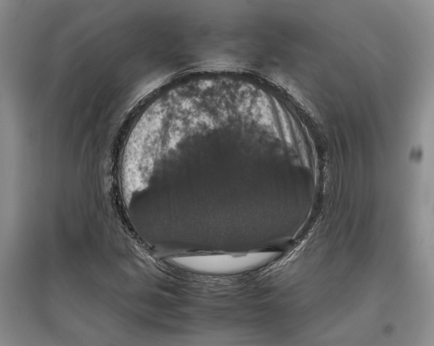 X0000097301213200803141525
