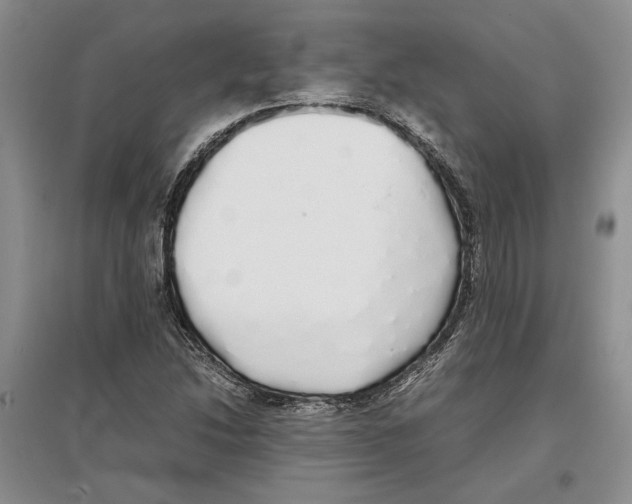 X0000097301214200803141525