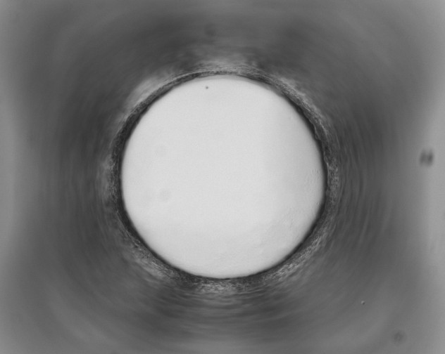 X0000097301215200803141525