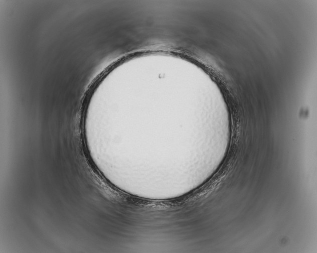 X0000097301216200803141525