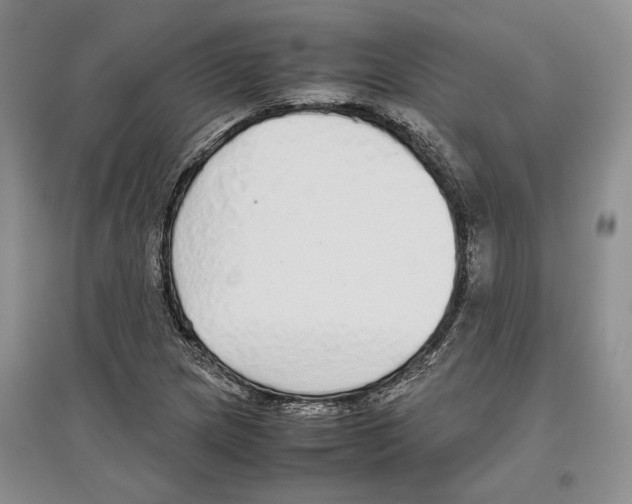 X0000097301217200803141525
