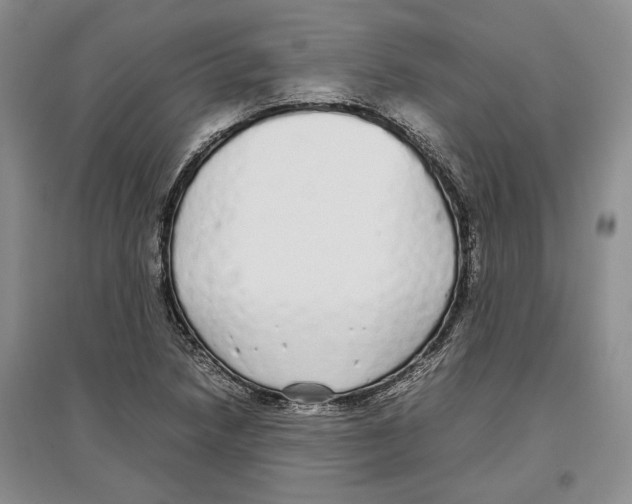 X0000097301218200803141525
