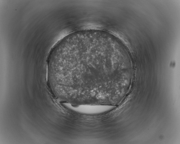 X0000097301219200803141525