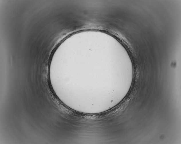 X0000097301220200803141525