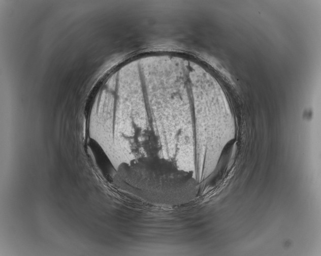 X0000097301221200803141525