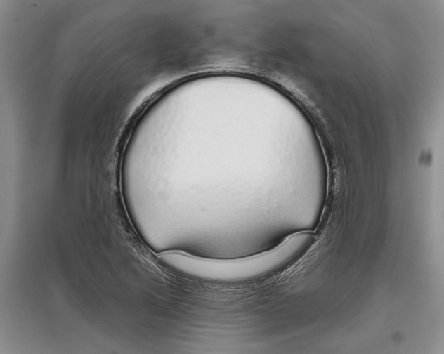 X0000097301222200803141525