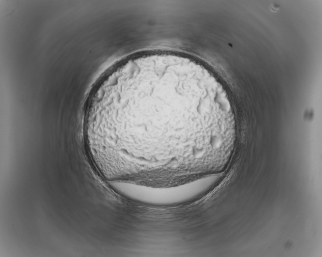 X0000097301224200803141525