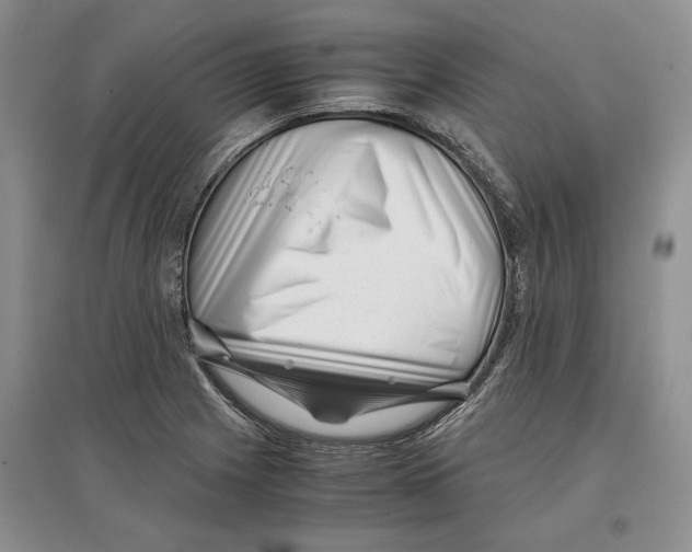 X0000097301225200803141525