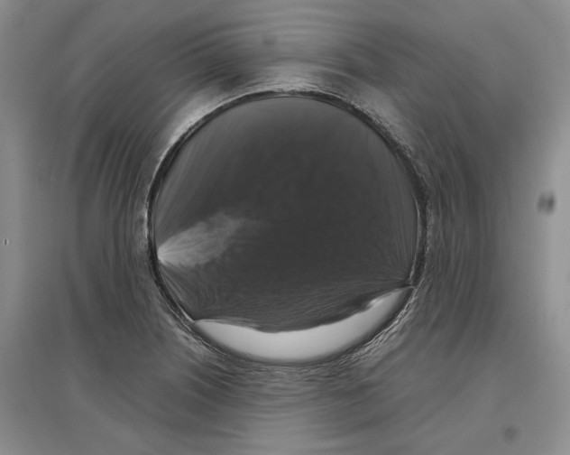 X0000097301226200803141525