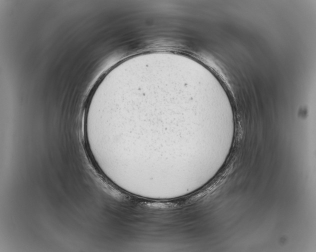 X0000097301227200803141525