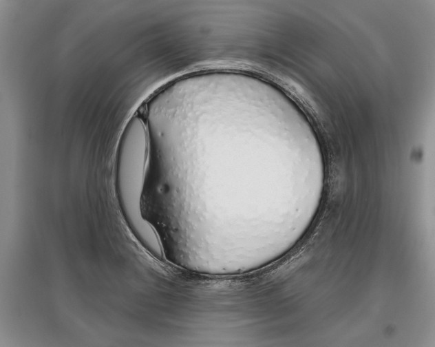X0000097301228200803141525