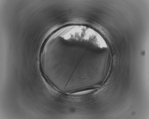 X0000097301229200803141525
