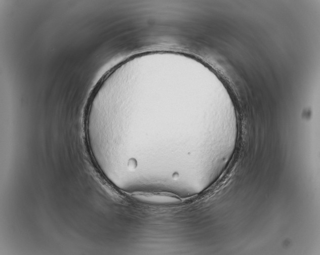 X0000097301230200803141525