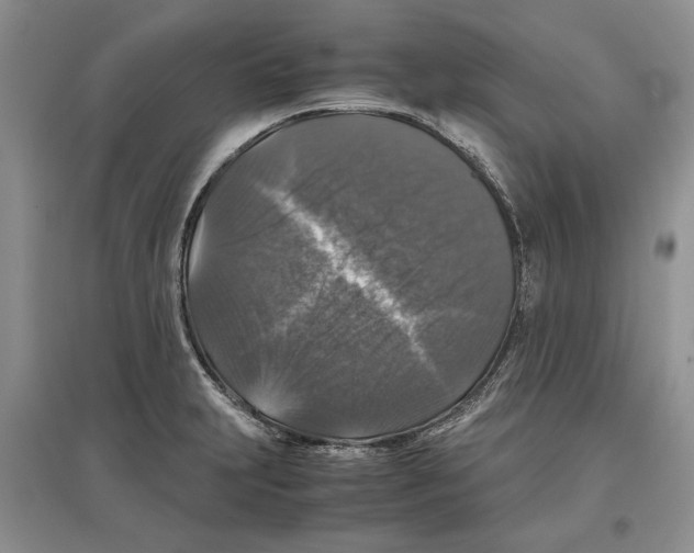 X0000097301231200803141525