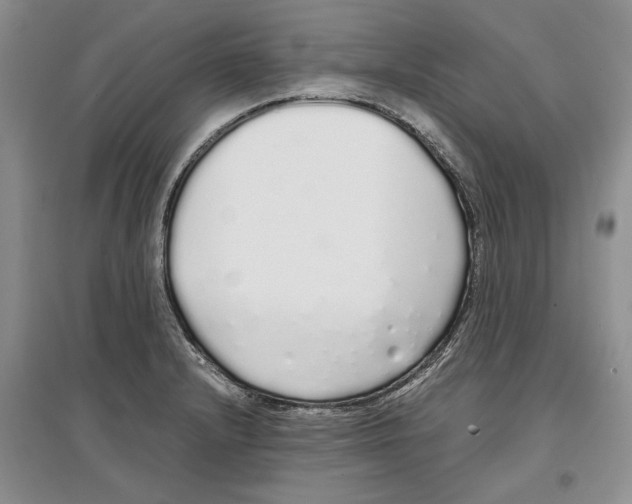 X0000097301232200803141525