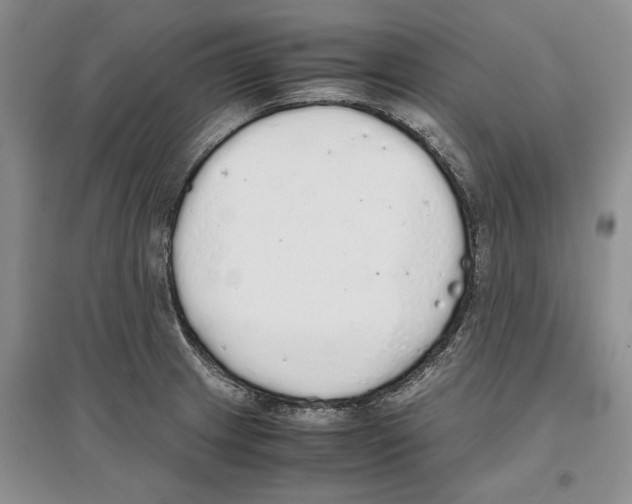 X0000097301233200803141525