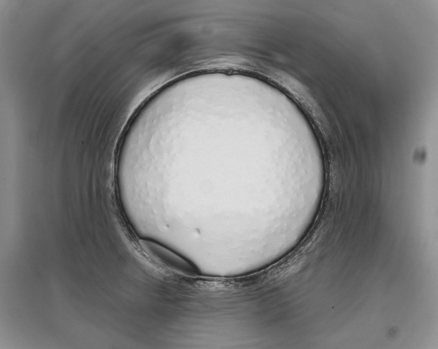 X0000097301234200803141525