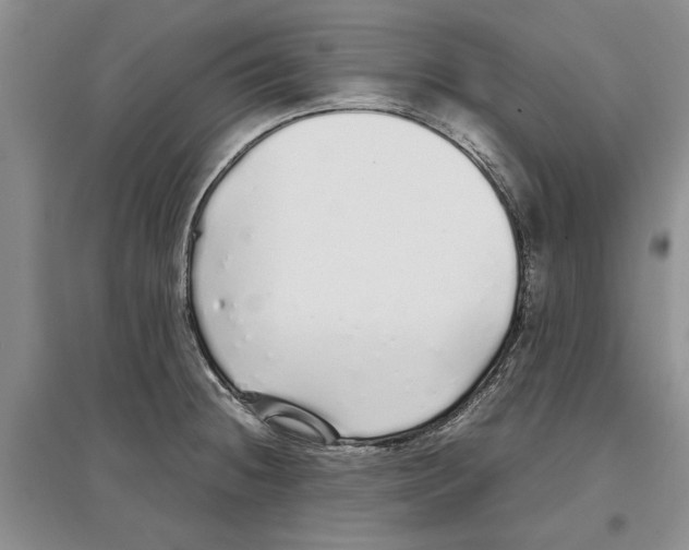 X0000097301236200803141525