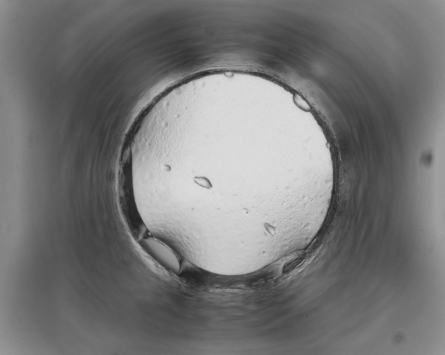 X0000097301237200803141525